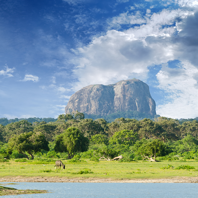 Hiking & Trekking in Sri Lanka